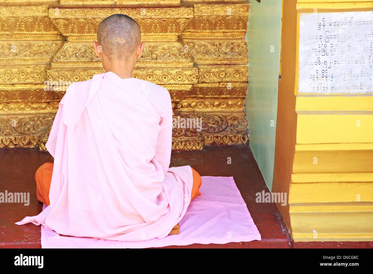 A nun prays at Shwedagon Pagoda in Yangon, Myanmar, 6 February 2013. Stock Photo