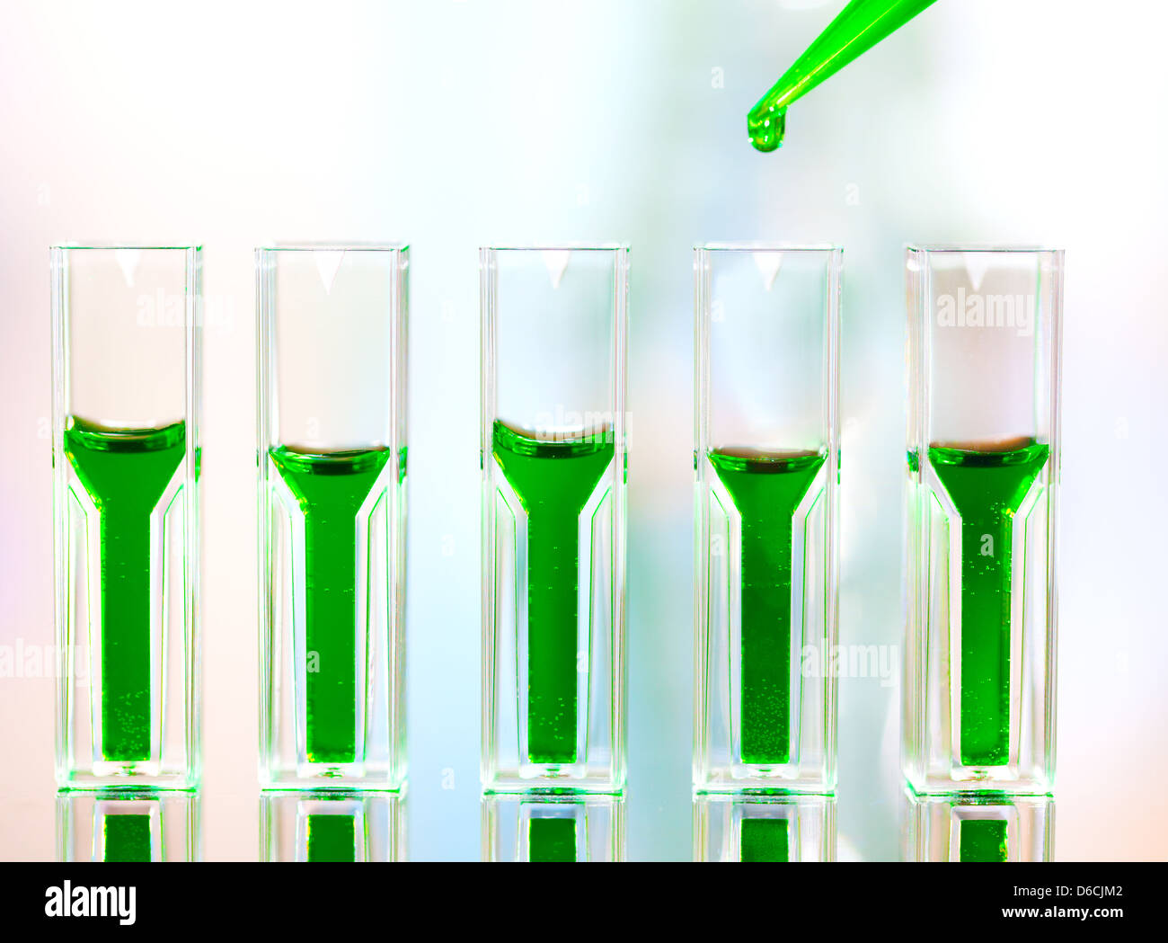 Spectrophotometer quvettes on a reflective surface, copy space Stock Photo