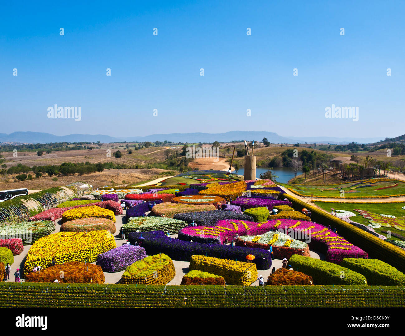 Beautiful garden of colorful flowers in summer on blue sky - Thailand Stock Photo