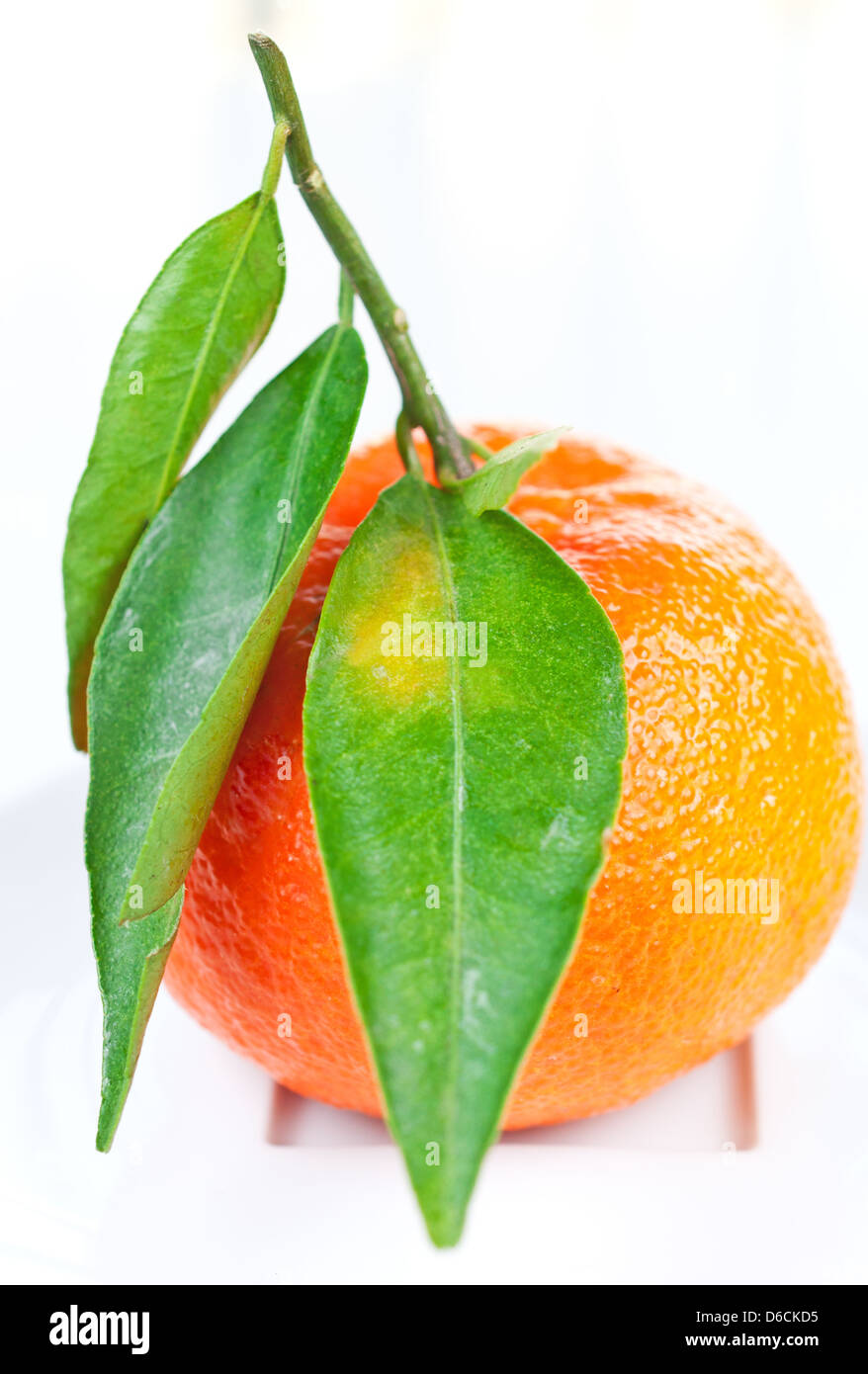 Tangerine with green leaves on a plate Stock Photo Alamy