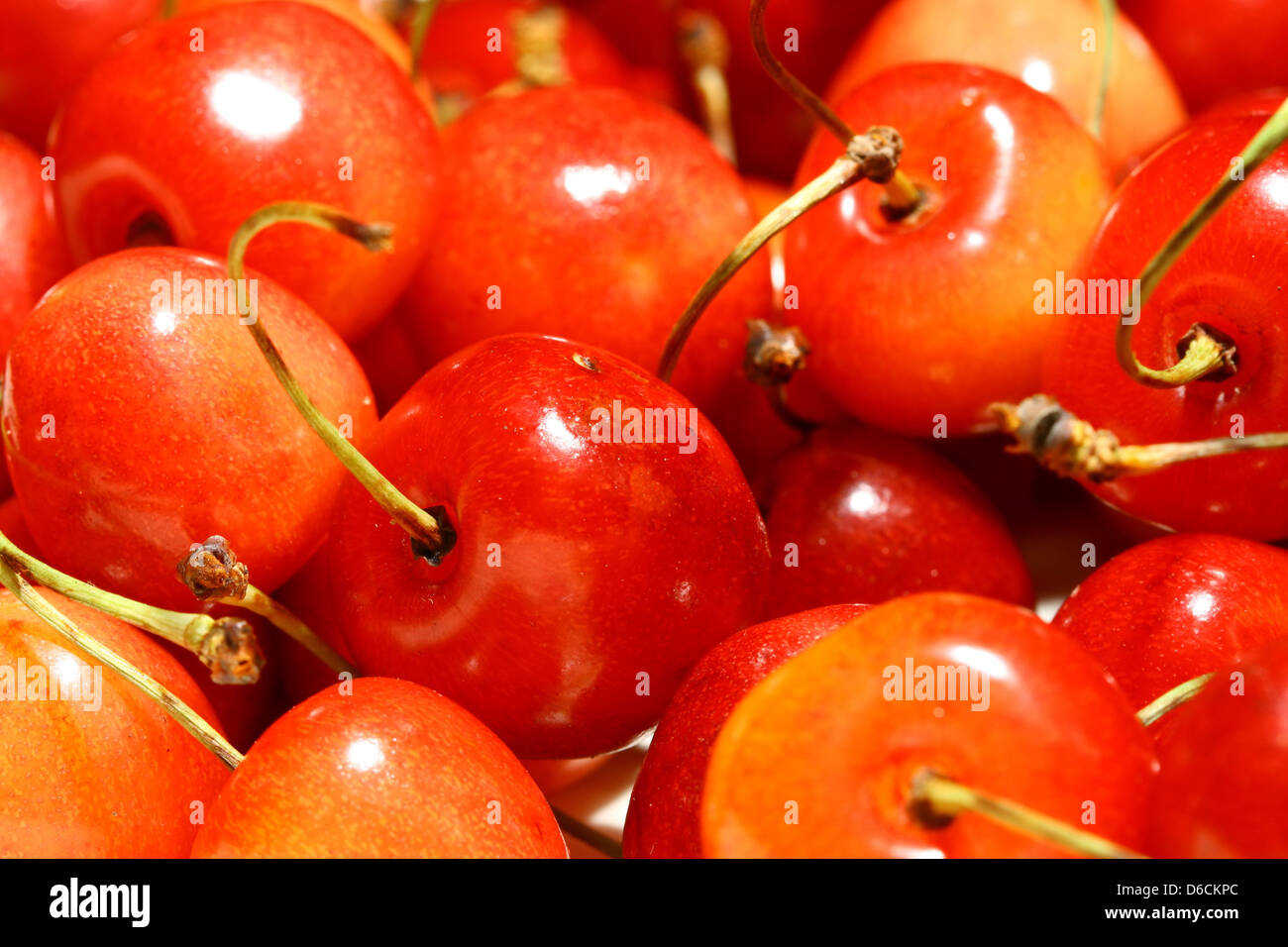 sweet red cherry macro close up Stock Photo Alamy