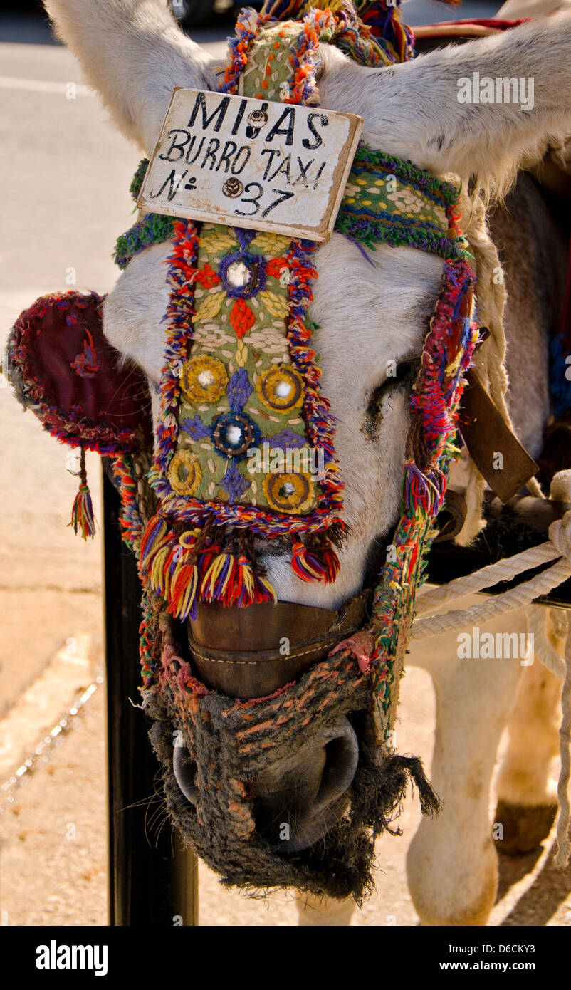 Donkey in white washed village of Mijas Pueblo in Spain Stock Photo