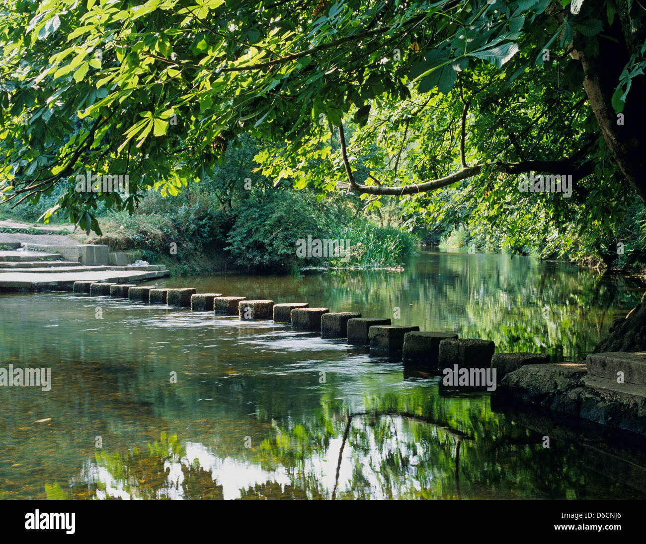 The Stepping Stones Box Hill Surrey UK Stock Photo