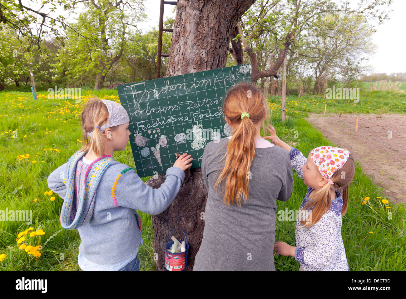 RÜHSTÄDT, Germany, girls play under an apple tree Stock Photo