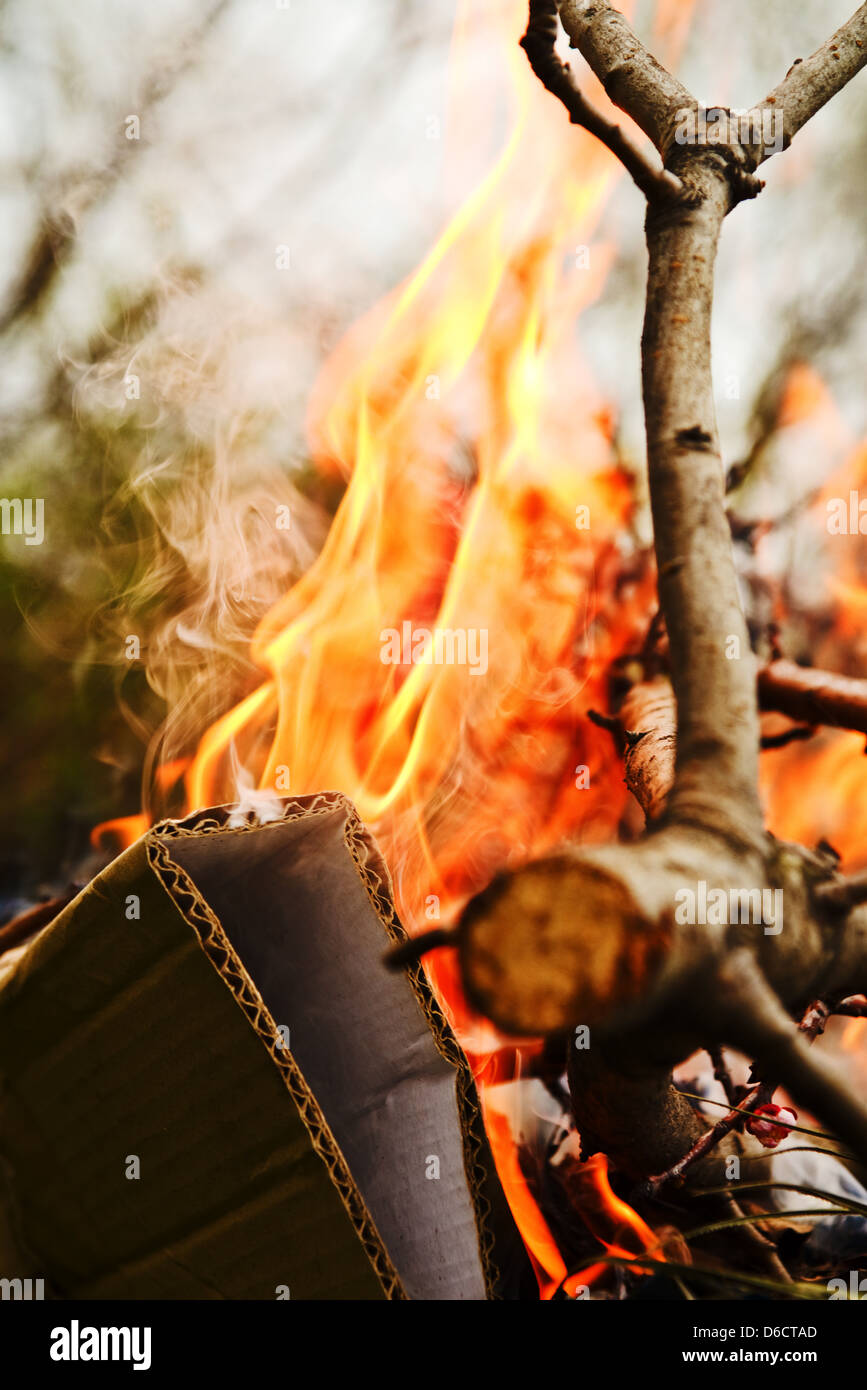 Fire branch hires stock photography and images Alamy