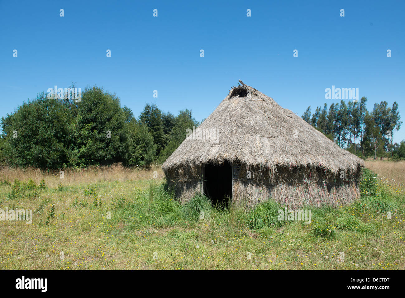 Traditional Mapuche Thatched hut in Temuco, Chile  Stock Photo