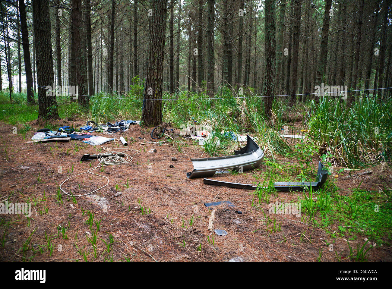 A view of fly tipping and household rubbish dumped in a forest area of North Island, New Zealand. Stock Photo