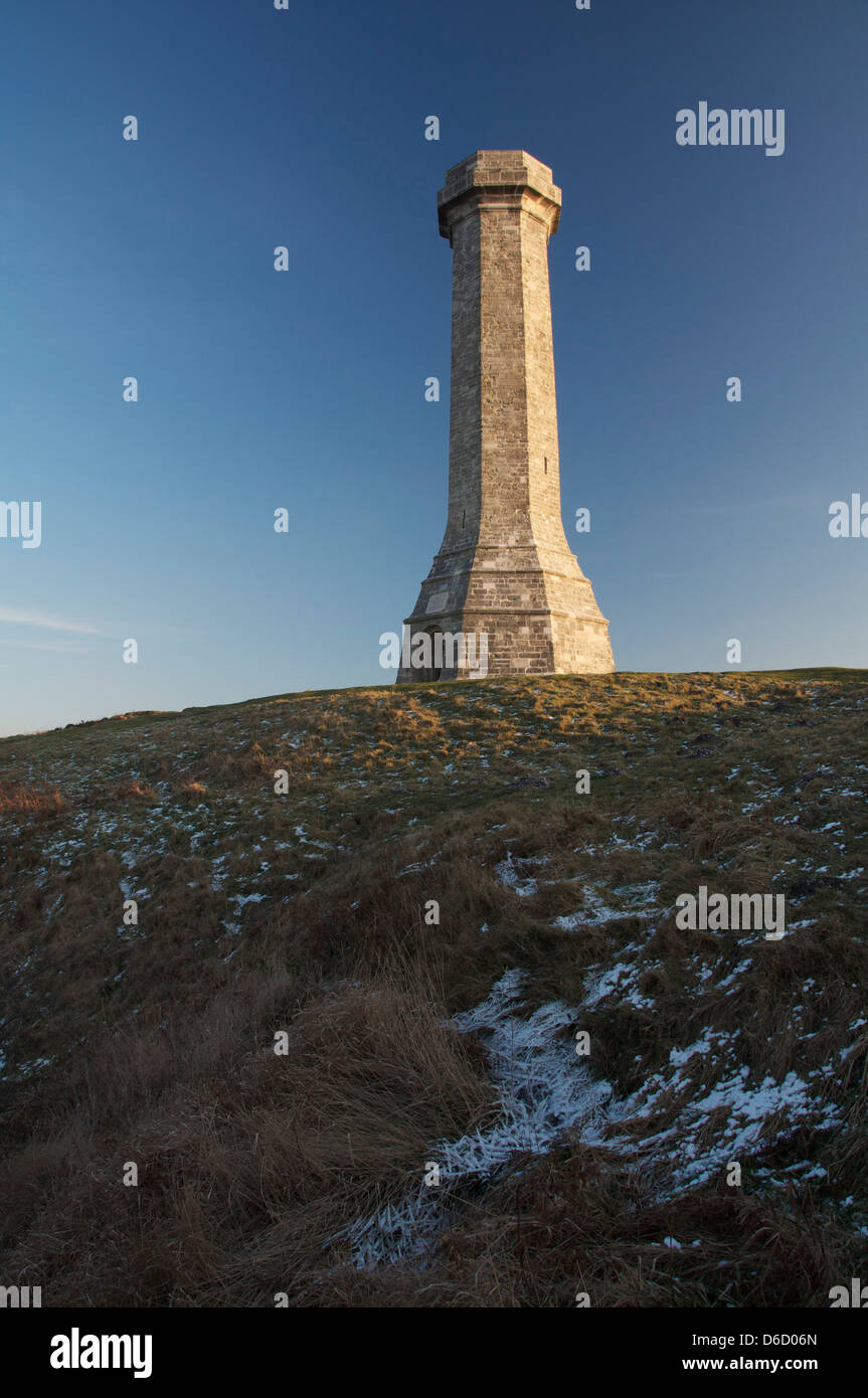 The Hardy Monument in winter. A memorial to Vice Admiral Sir Thomas Hardy who served with Nelson at the Battle of Trafalgar. Dorset, England, UK. Stock Photo