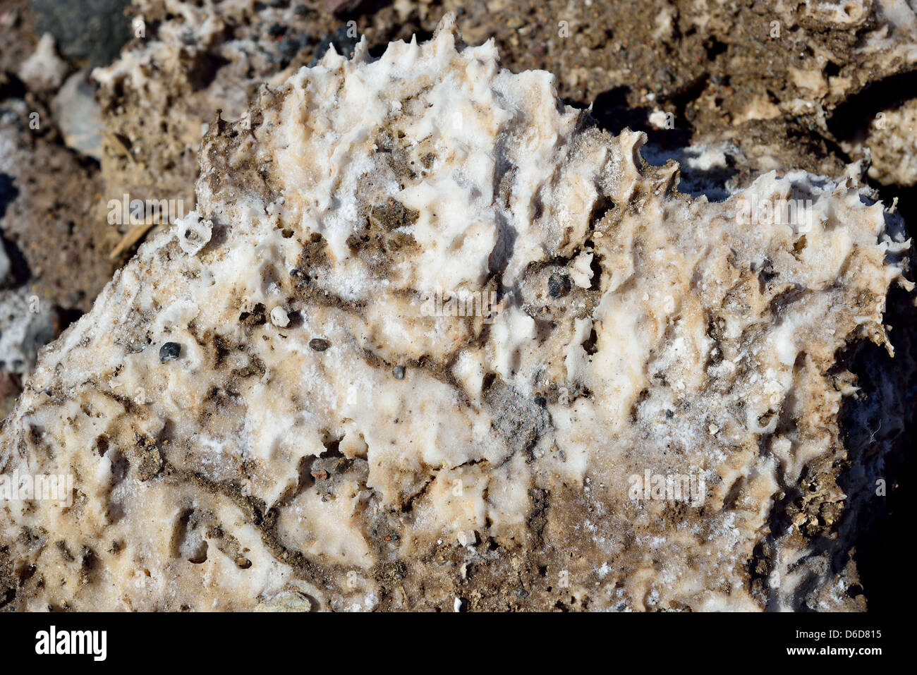 Rough surface of Halite salt blocks at Devil's Golf Course. Death Valley National Park, California, USA. Stock Photo