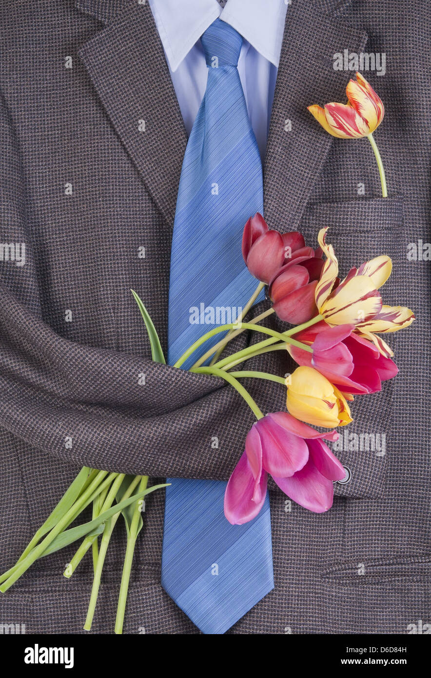tweed jacket with  tulips background Stock Photo
