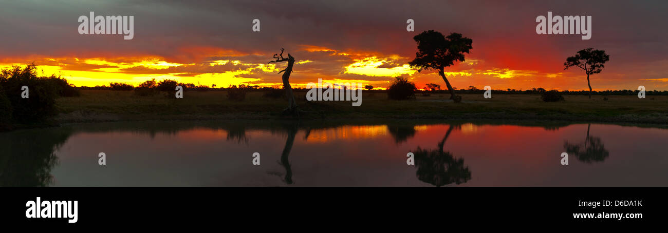 Africa waterhole sunset hi-res stock photography and images - Alamy