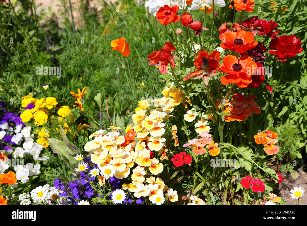 Flowerbeds in a Formal Garden Stock Photo - Alamy
