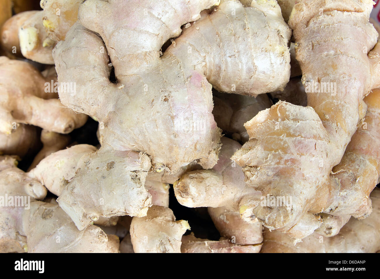 Ginger Root for Sale in Southeast Market Closeup Background Stock Photo