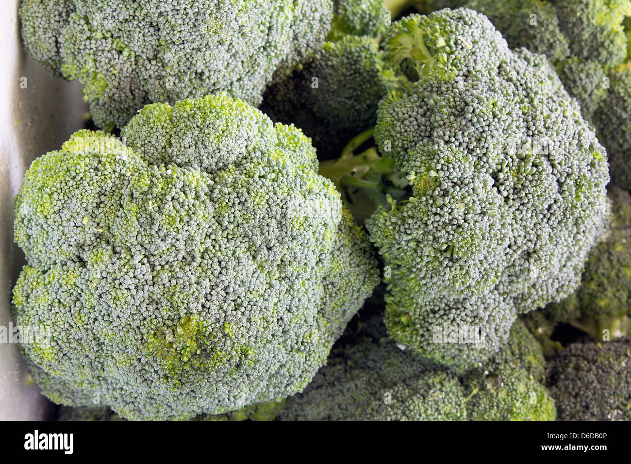 Broccoli Green Vegetables Flower Head Closeup Stock Photo Alamy