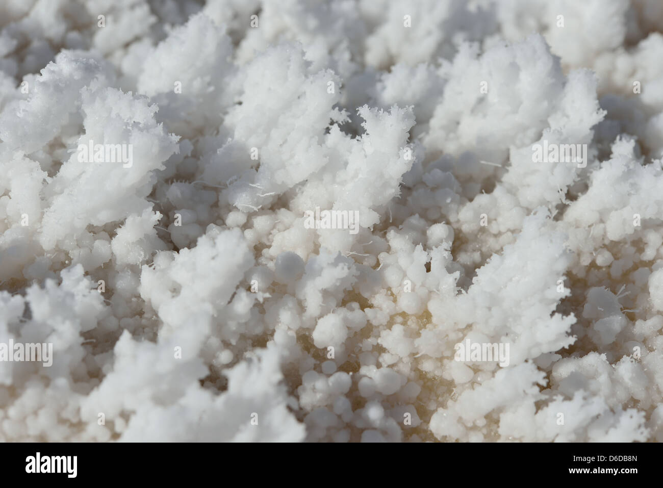 White crystals of halite salt at Badwater Basin. Death Valley National Park, California, USA. Stock Photo