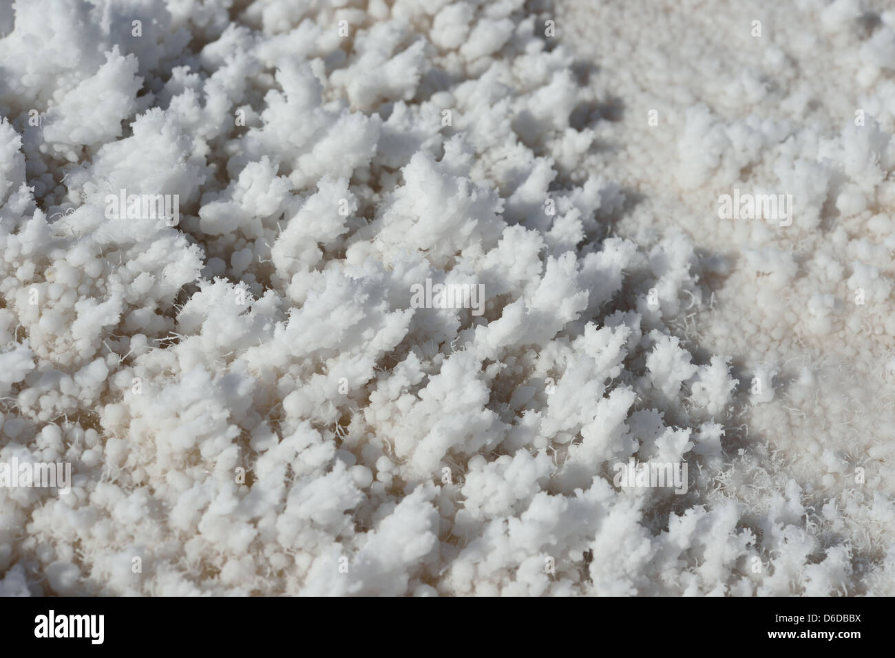 White crystals of halite salt at Badwater Basin. Death Valley National Park, California, USA. Stock Photo