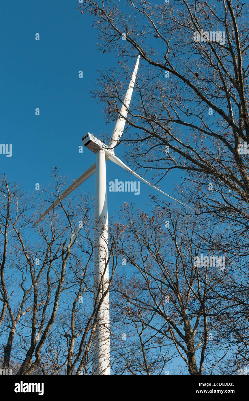 Wind turbine, Gloucester, Massachusetts Stock Photo Alamy