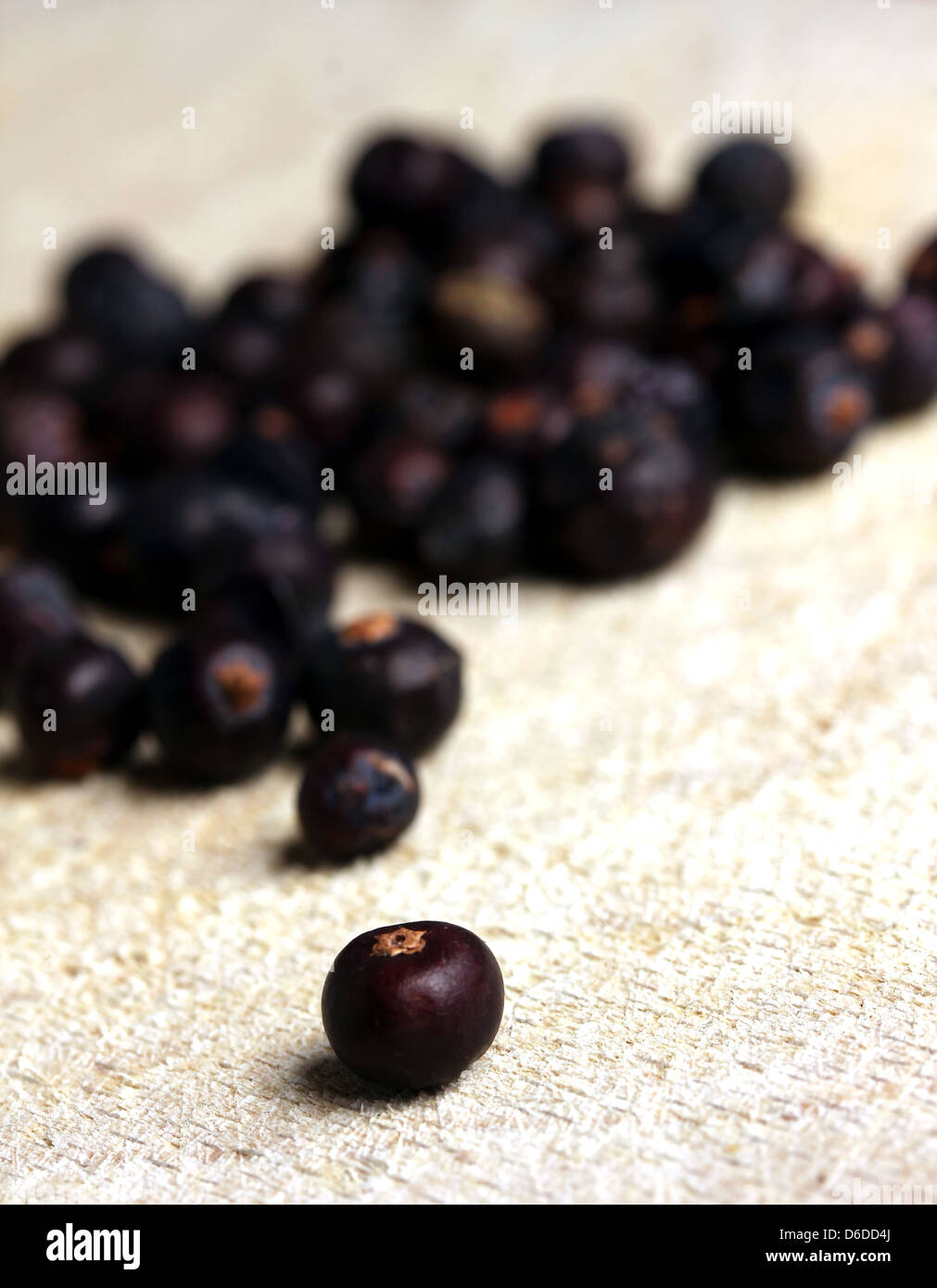 dried juniper berries Stock Photo Alamy