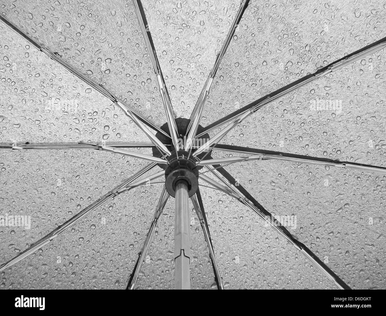 close up of umbrella covered with rain drops Stock Photo