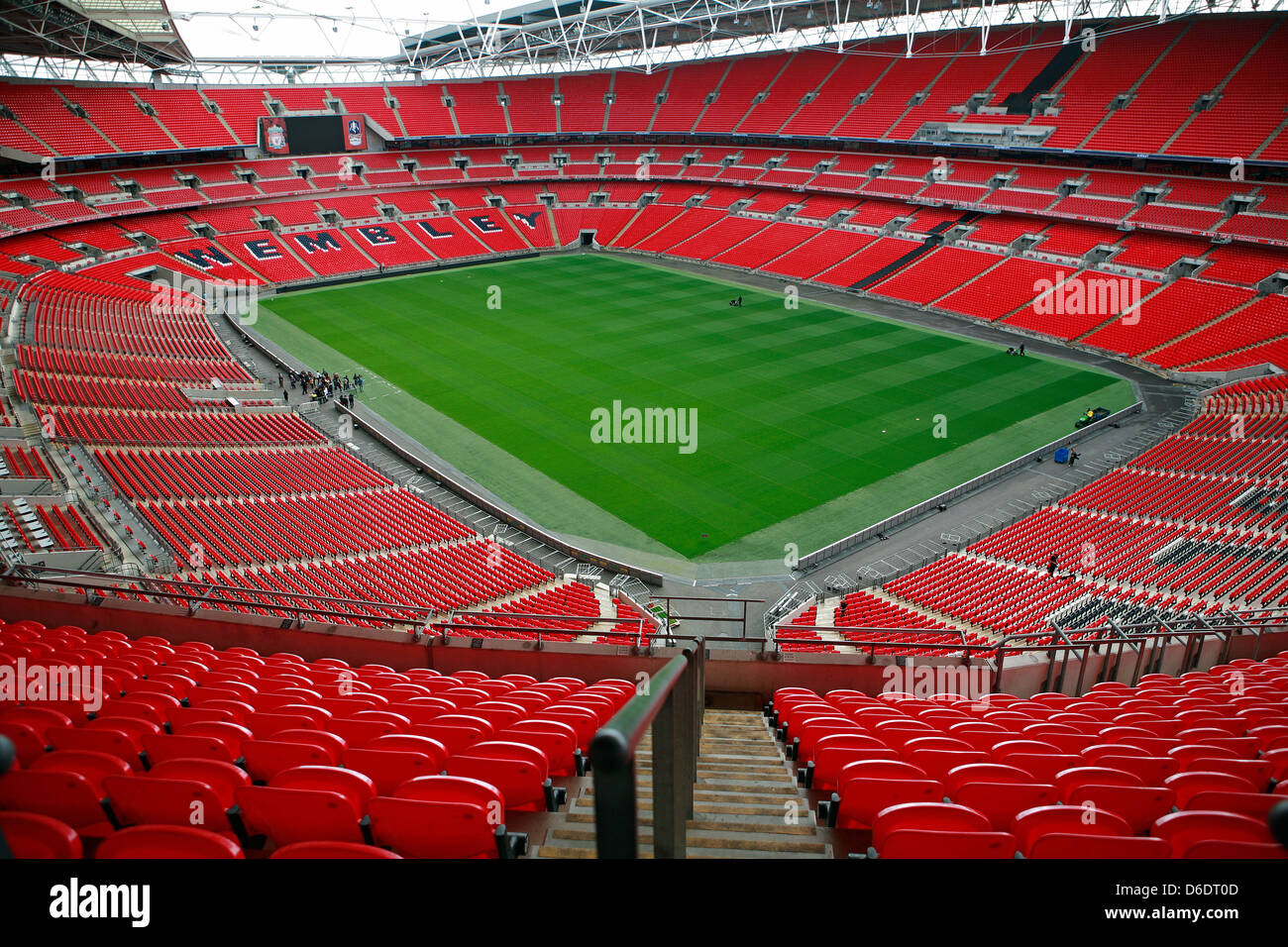 Inside The Stadium