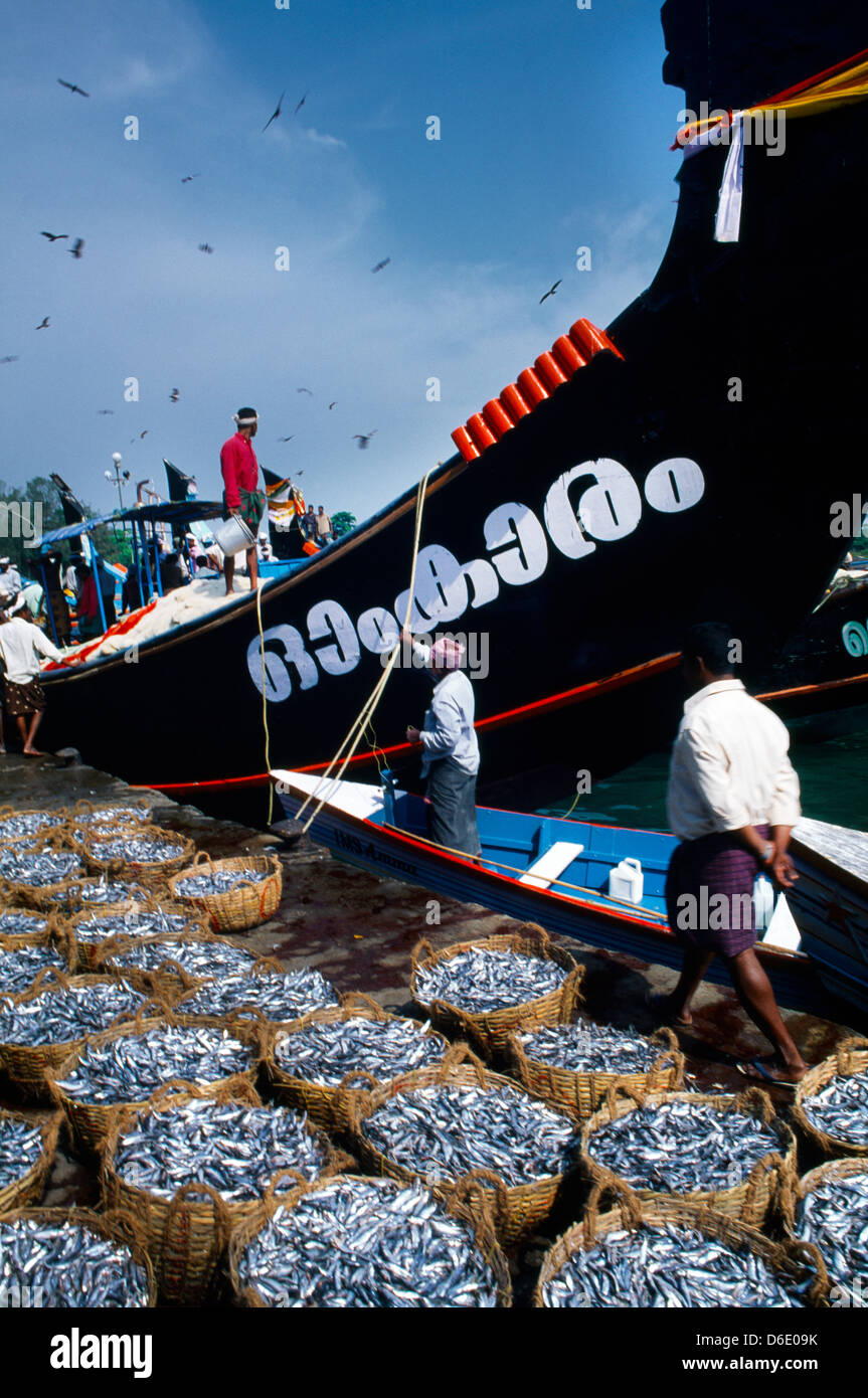 Kerala India Kollam (Quilon) Fishing Harbour Baskets Of Fish And Men On  Boats Stock Photo - Alamy