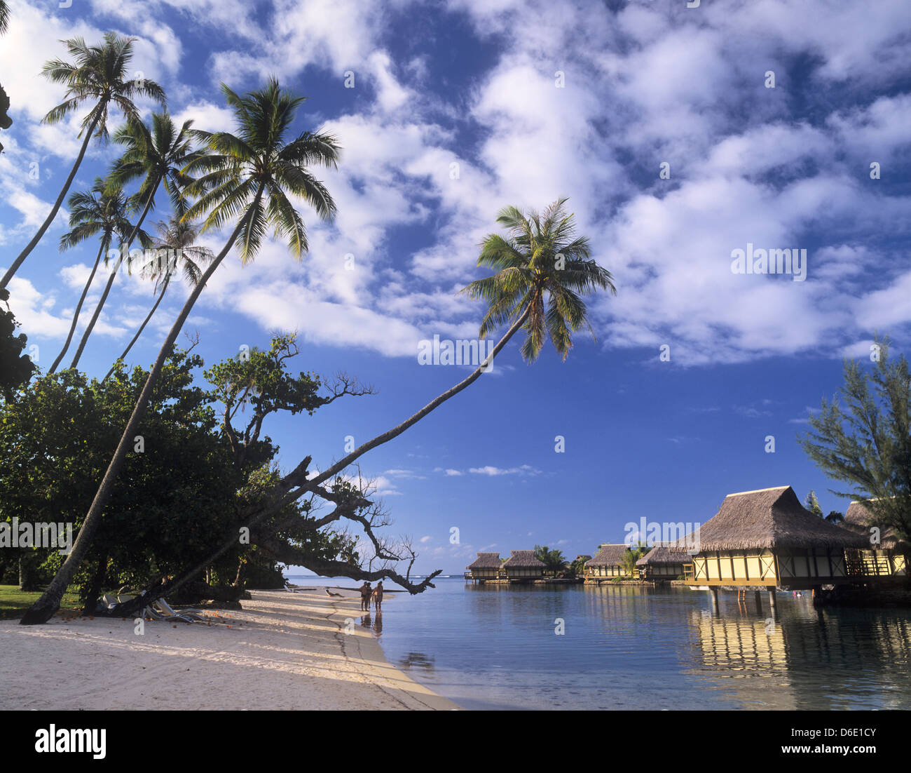 French Polynesia, Society Islands, Windward Islands, Moorea, Moorea