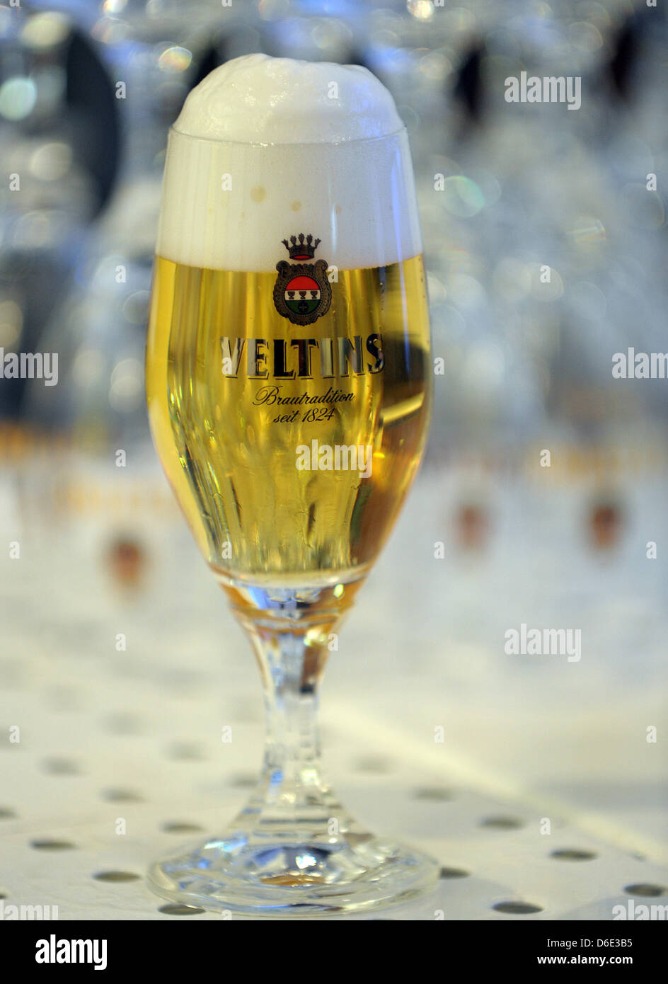 A glass of Veltins beer is seen in Duesseldorf, Germany, 17 January 2012.  The private brewery