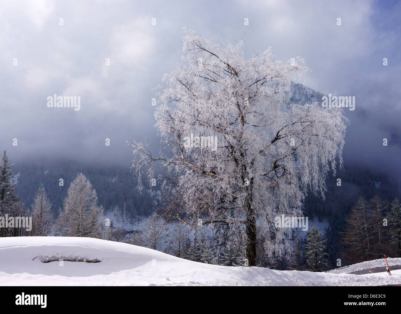 Frost covered landscape hi-res stock photography and images - Alamy