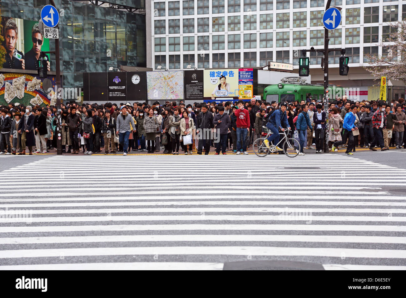 Japanese street scene showing crowds of people crossing the street on a pedestrian crossing in Shibuya, Tokyo, Japan Stock Photo