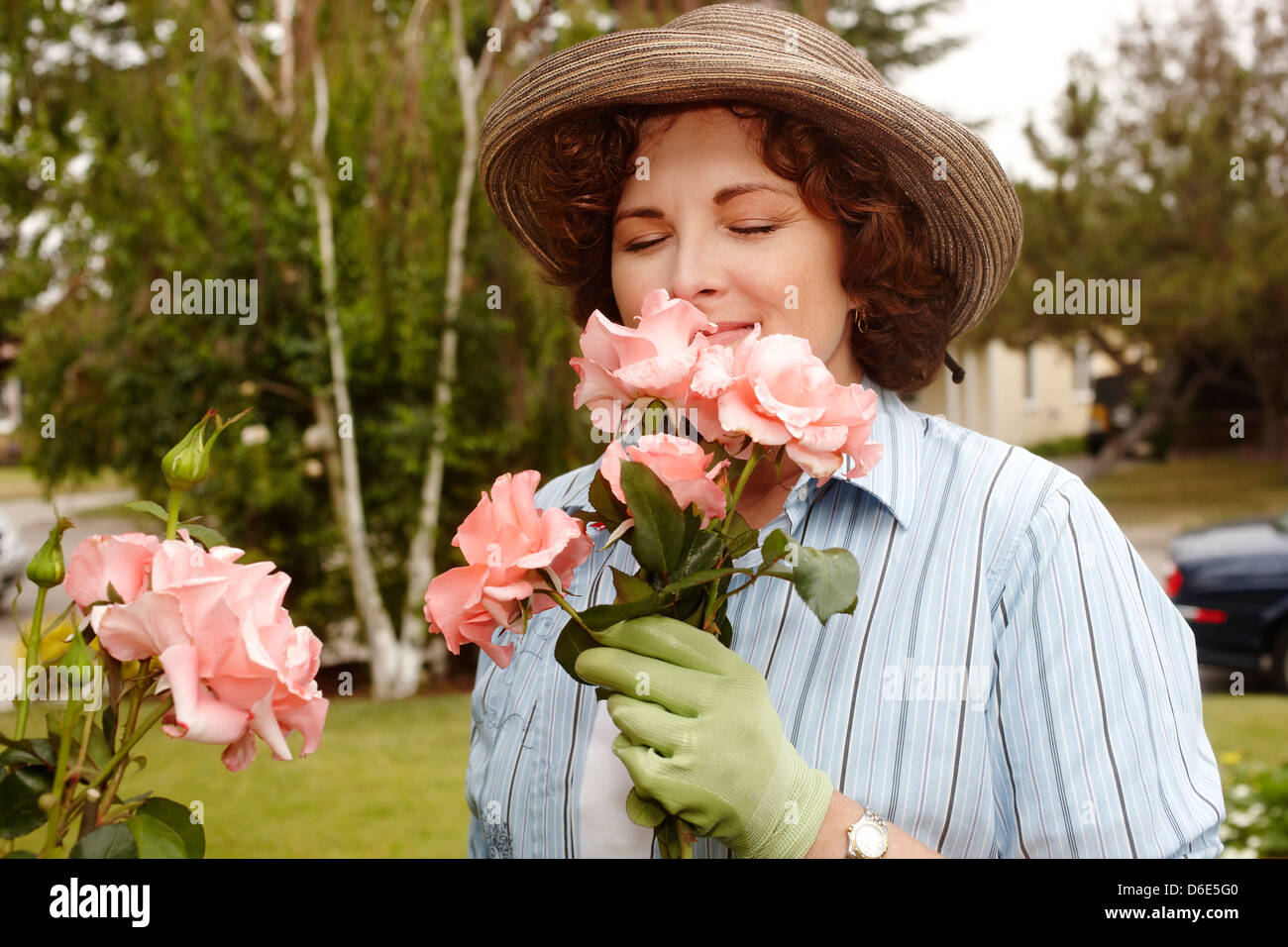 Woman smelling roses in garden Stock Photo - Alamy