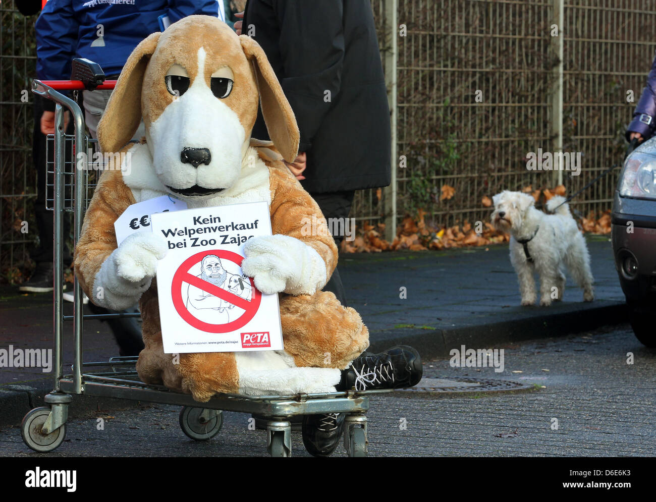 Aktivisten der Tierschutzorganisation "Peta" demonstrieren am Freitag  (20.01.2012) in Duisburg vor der Zoohandlung Zajac gegen den Verkauf von  Hunden in Zoohandlungen. Der Duisburger Tierhänler Norbert Zajac hat seit  heute mit dem Verkauf
