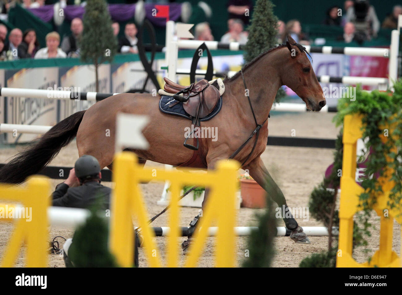 Olympic Horse Jumping Falls