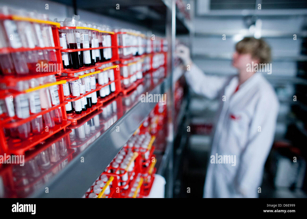 Tissue Typing Lab A staff member of the tissue typing laboratory DKMS Life Science Lab ...