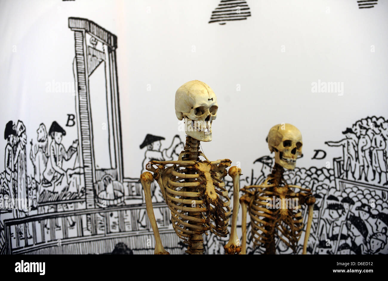 Two skeletons stand in front of an execution scene at the Museum for Sepulchral Culture in Kassel, Germany, 25 January 2012. The skeleton on the left is supposedly that of the robber 'Schinderhannes', on the right is that of his sidekick 'Black Jonas'. The exhibition 'Gallows, Wheel and Stake' is open from 28 January 2012. Photo: Uwe Z Stock Photo