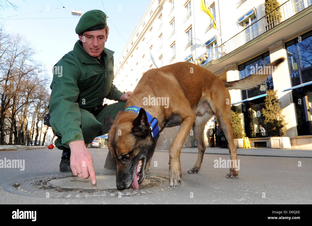 Ein Polizist und ein Spürhund kontrollieren am Freitag (03.02.2012) in München (Oberbayern) am ersten Tag der 48. Sicherheitskonferenz vor dem Hotel Bayerischer Hof einen Gulli vor dem Hotel. An der Konferenz, die vom 3. bis zum 5. Februar geht, nehmen mehr als 350 Gäste teil, darunter etwa 60 Minister und Regierungschefs aus der ganzen Welt. Foto: Tobias Hase dpa/lby Stock Photo