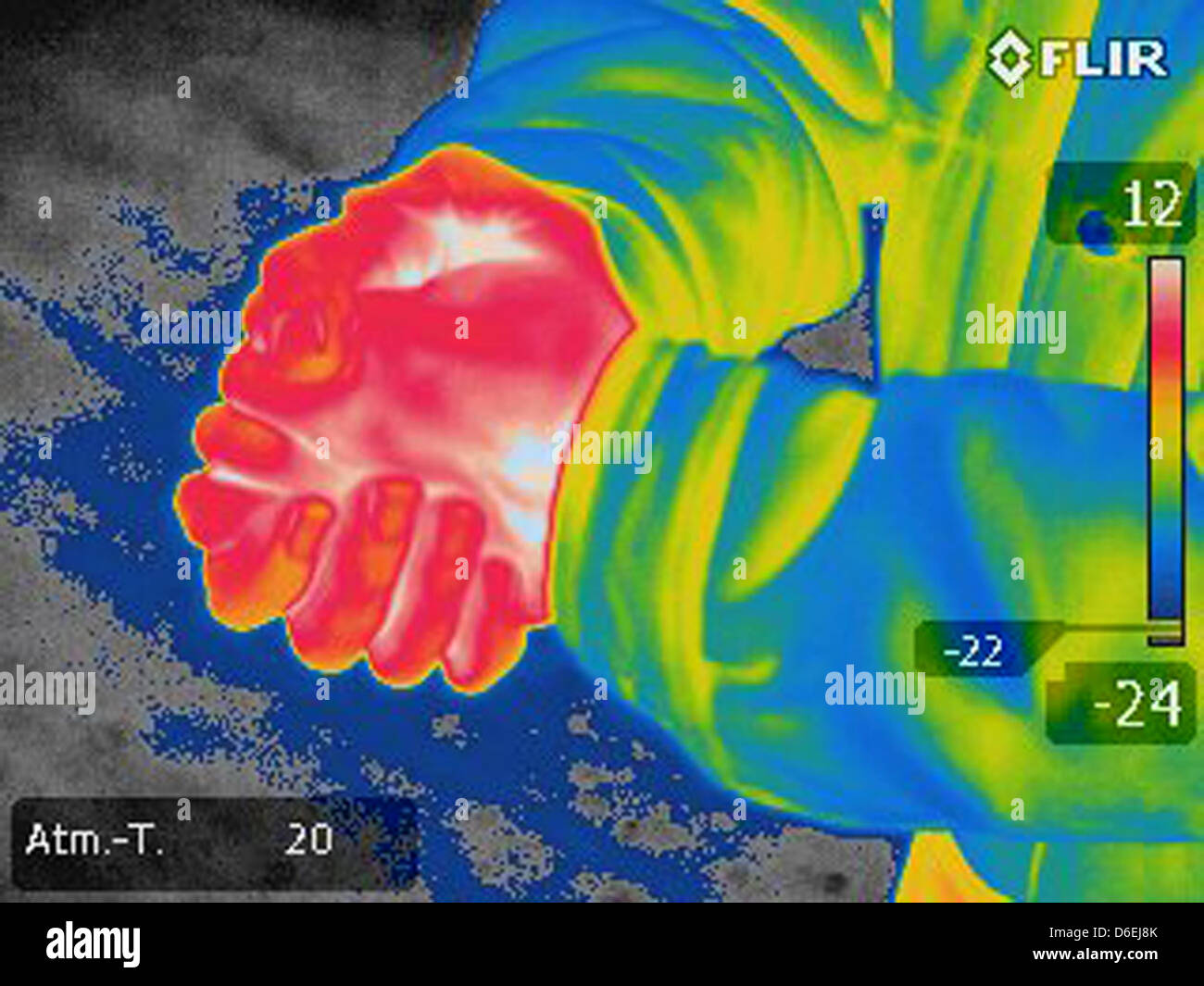 A thermography made with a thermographic imaging camera shows a