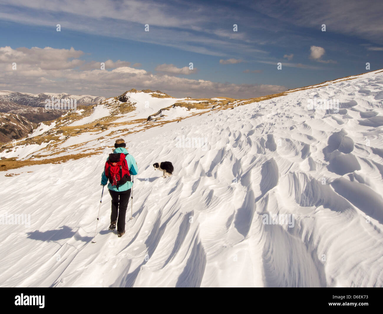 Sastrugi caused by wind scour on the snow pack above Wrynose Pass in the Lake District, UK with a woman walker. Stock Photo
