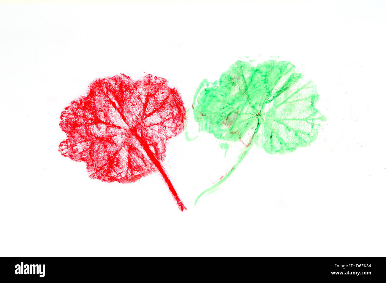 Colourful Leaf Rubbing Done With Wax Crayon Stock Photo Alamy