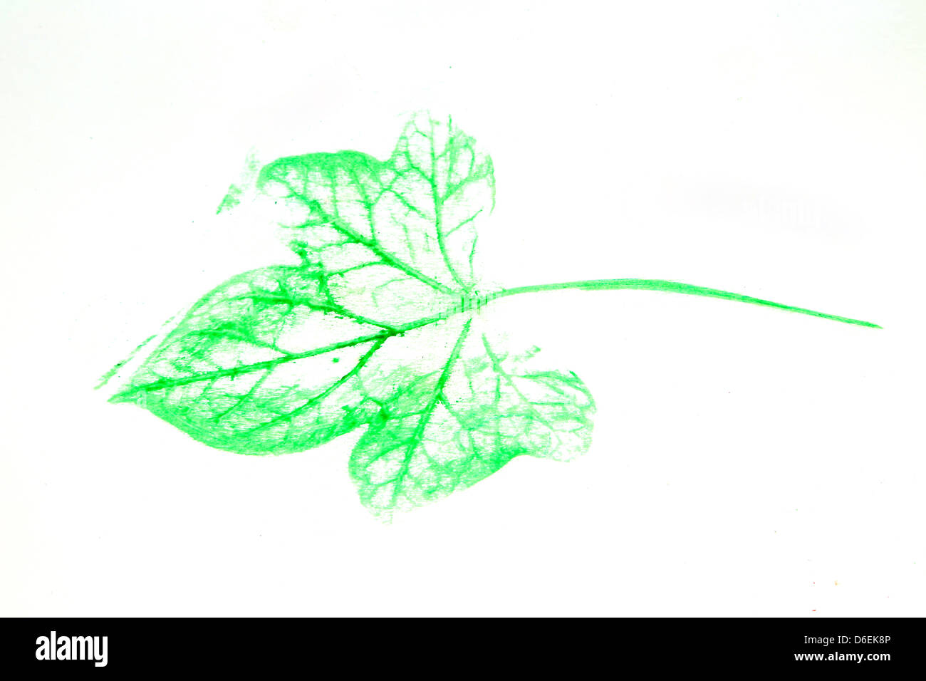 Colourful Leaf Rubbing Done With Wax Crayon Ivy Stock Photo Alamy
