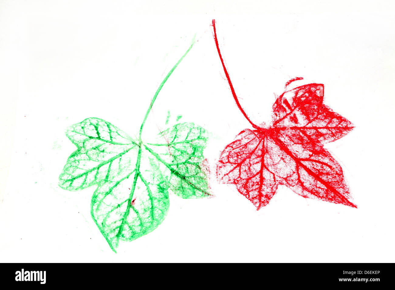 Colourful Leaf Rubbing Done With Wax Crayon Ivy Leaves Stock Photo Alamy