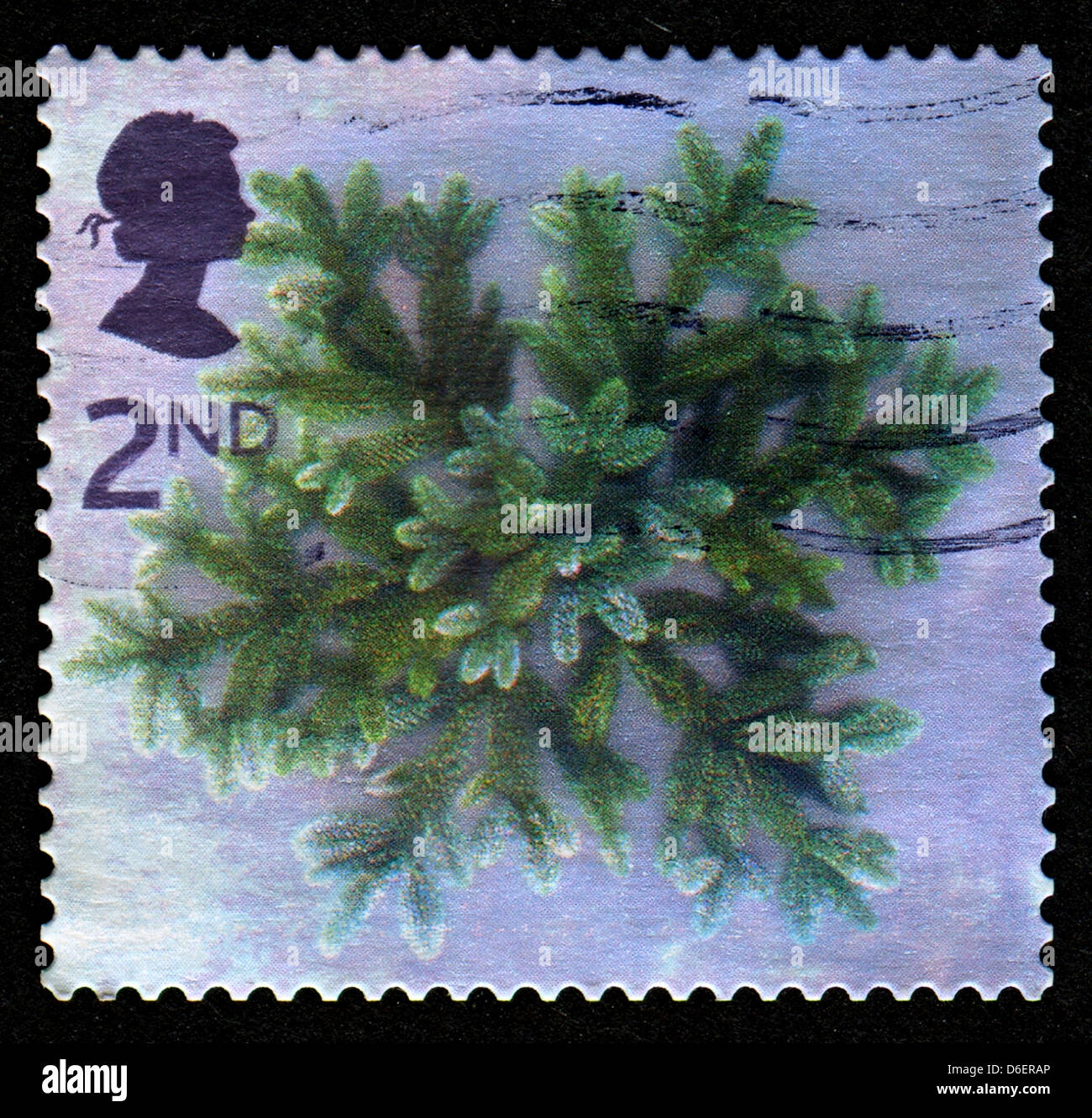 UK - CIRCA 2002: A stamp printed in UK shows image of The Blue Spruce Star, circa 2002.  Stock Photo