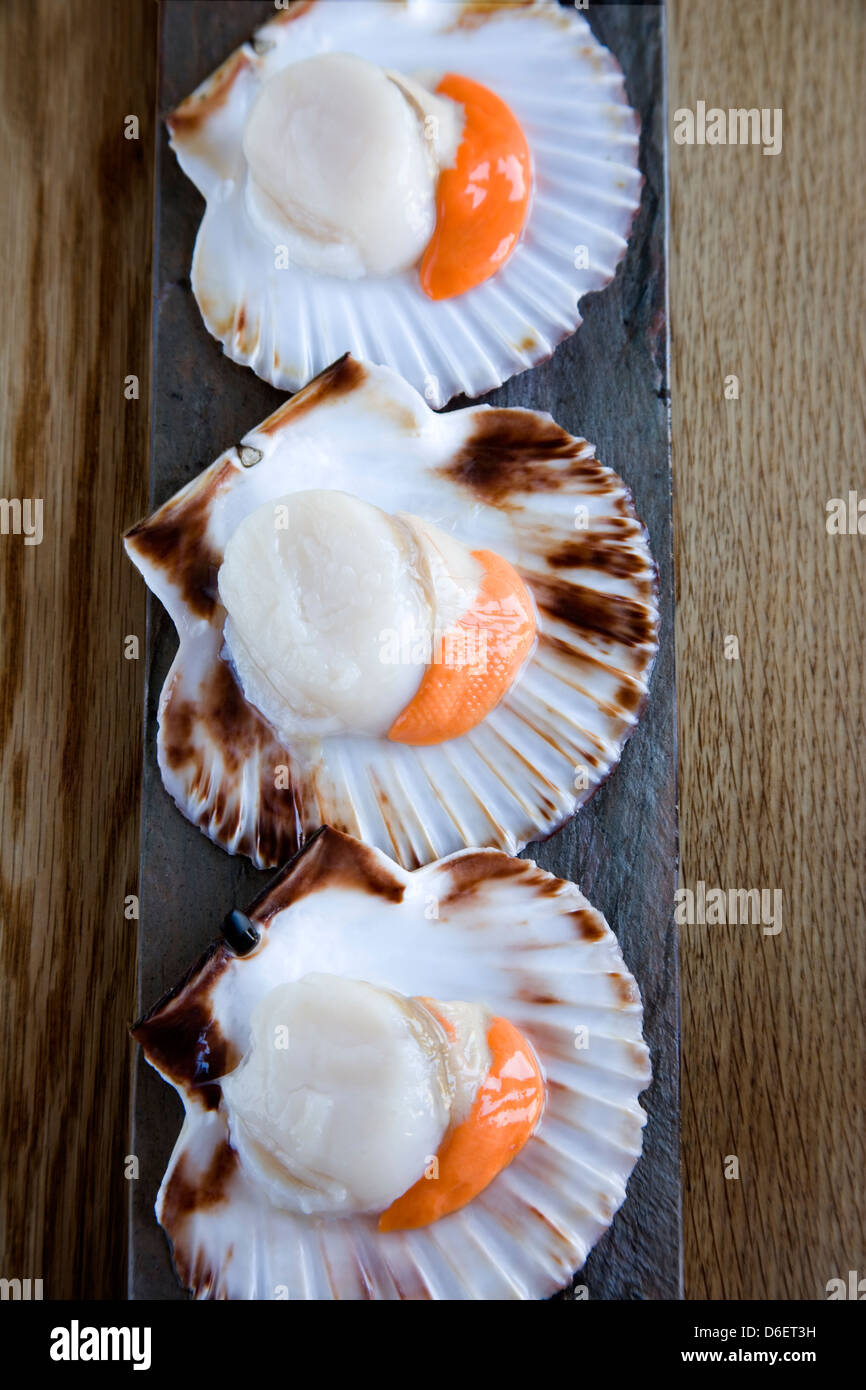 Scallops In The Shell Hi Res Stock Photography And Images Alamy