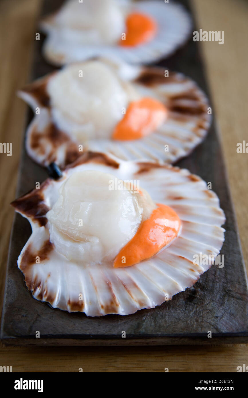 Scallops in the shell hi-res stock photography and images - Alamy