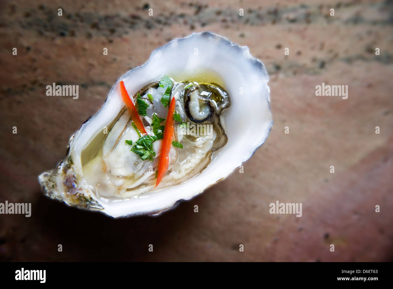 Oyster in half shell dressed with lime, chilli and coriander Stock
