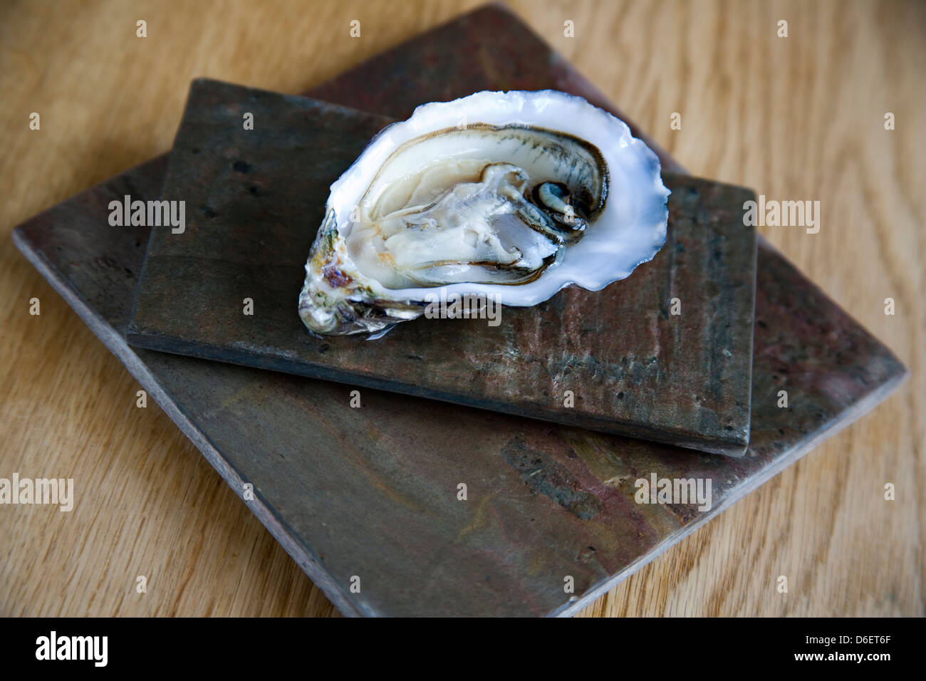 Live oyster in half shell Stock Photo Alamy
