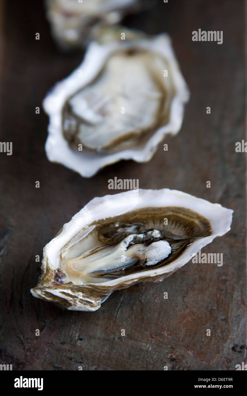 Three Live Oysters in half shell Stock Photo Alamy
