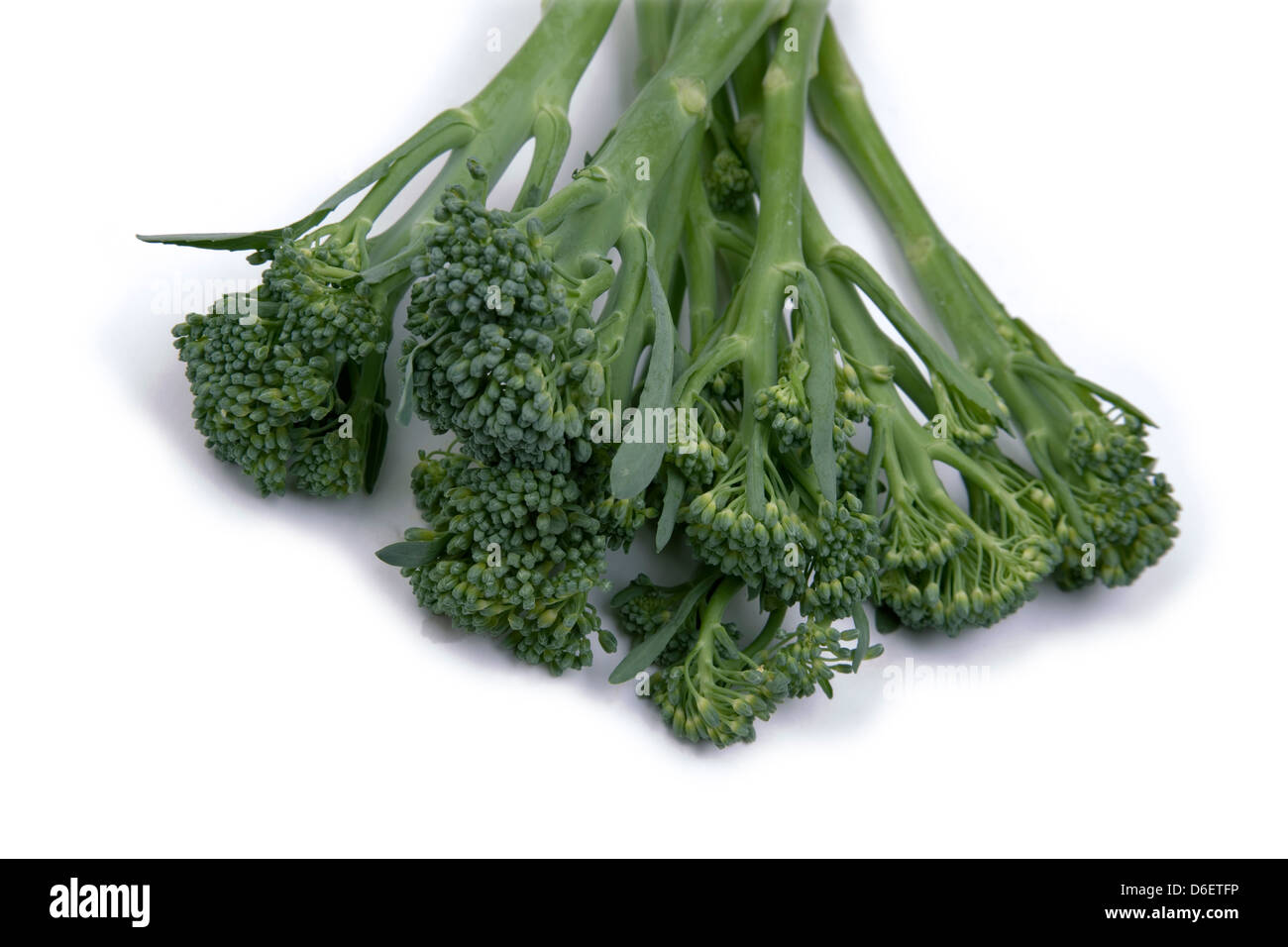 Long stem Broccoli on white background Stock Photo
