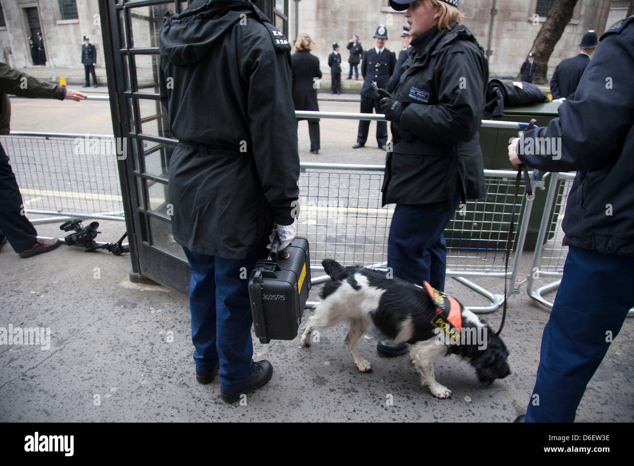 Police sniffer dogs security hires stock photography and images Alamy