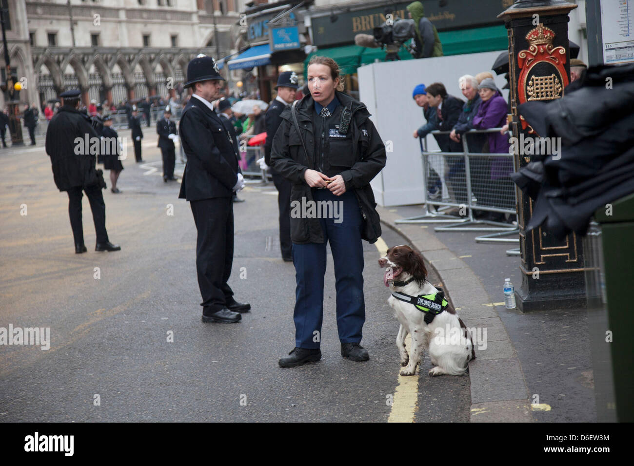 Metropolitan police sniffer dog wearing a band which says EXPLOSIVE
