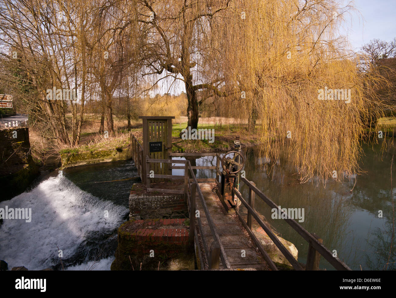 Willow trees overhanging river hi-res stock photography and images - Alamy